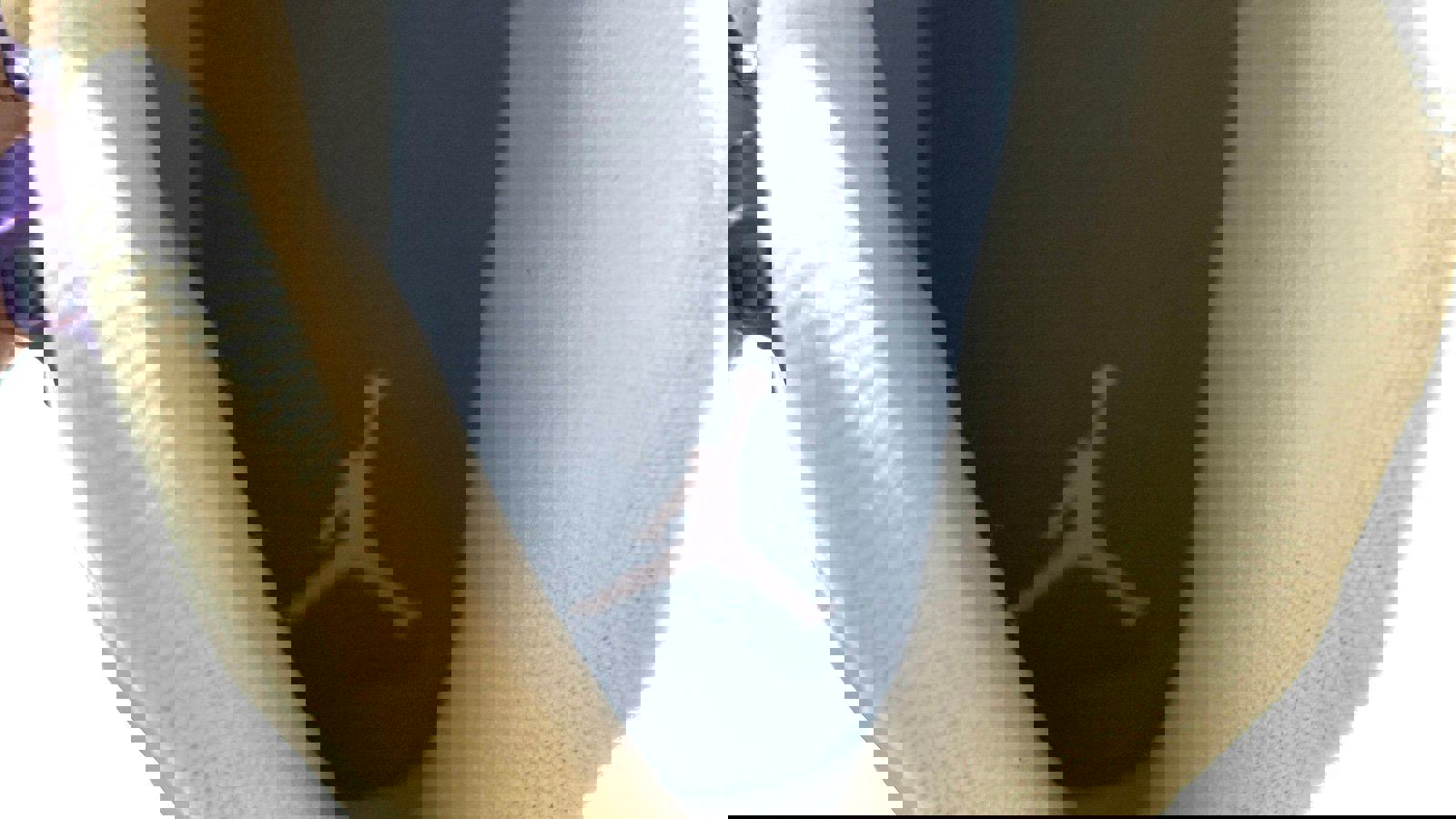 Air Jordan 12 Retro GS 'Pro Purple'