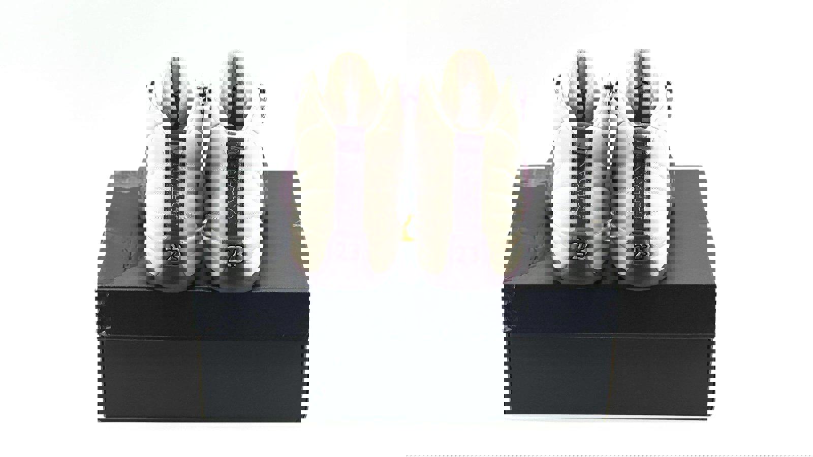 Air Jordan 12 Retro GS 'Pro Purple'