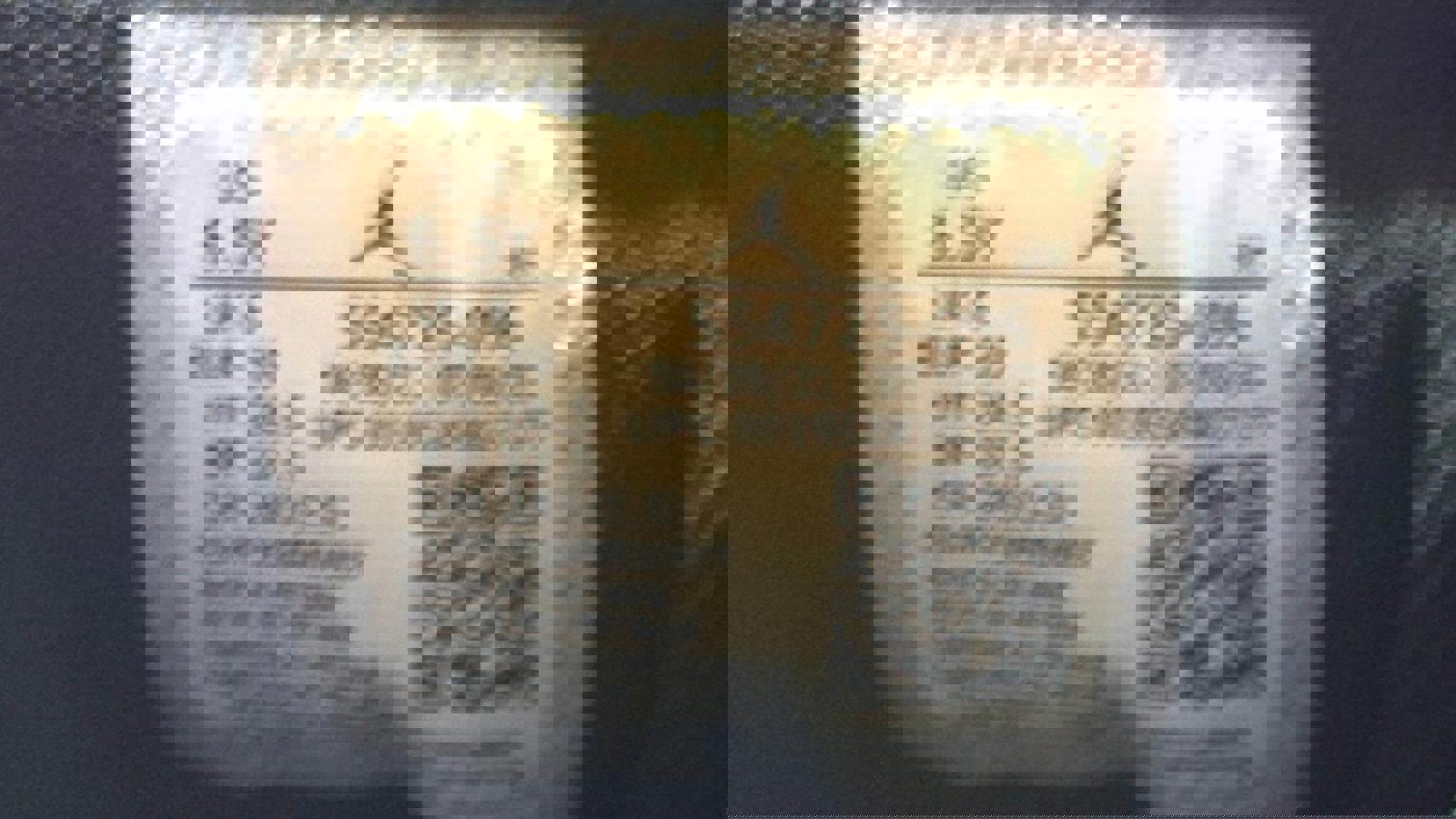 Air Jordan 1 Mid GS 'Shadow'